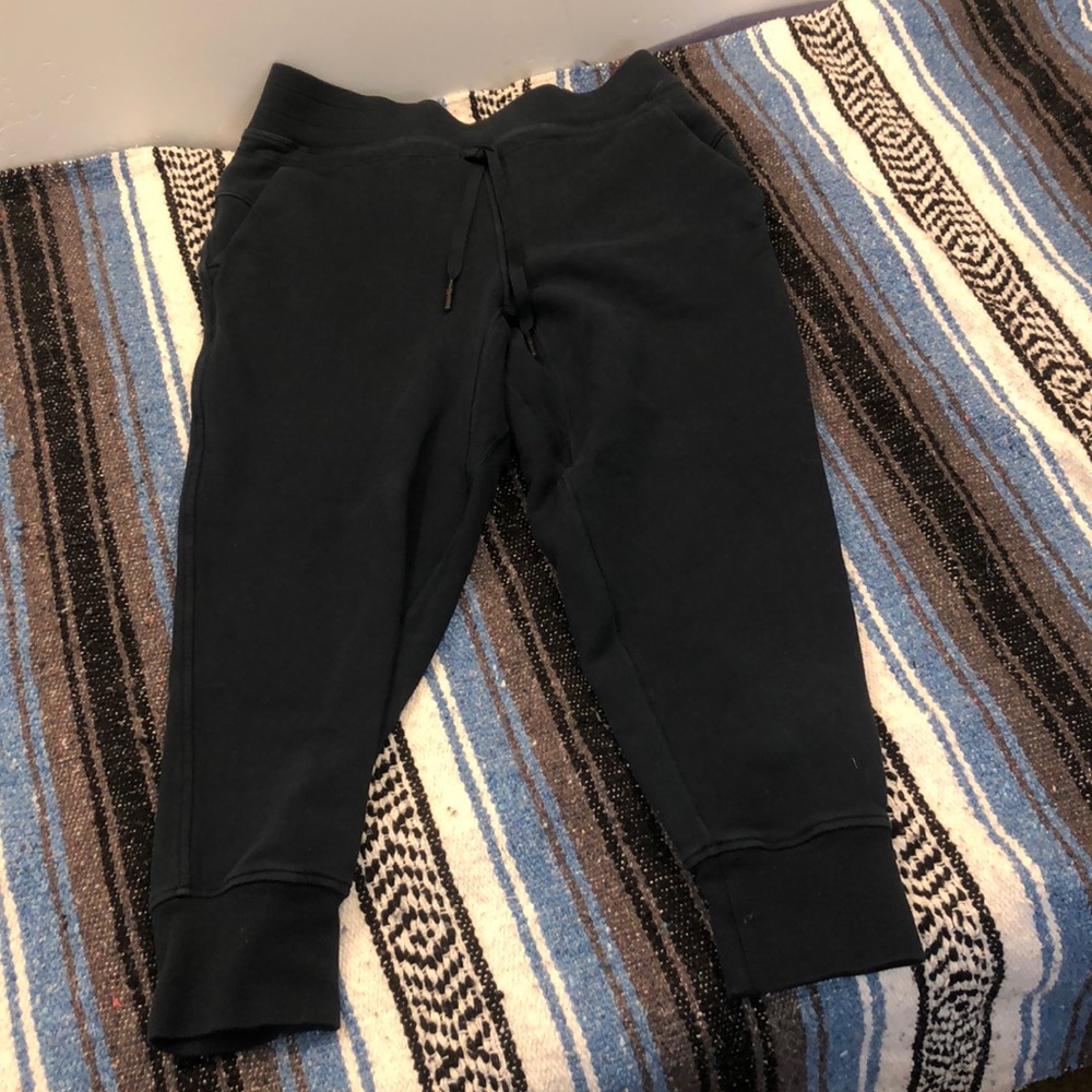 Lululemon Dark/Navy Blue Pants/Joggers Women’s 8